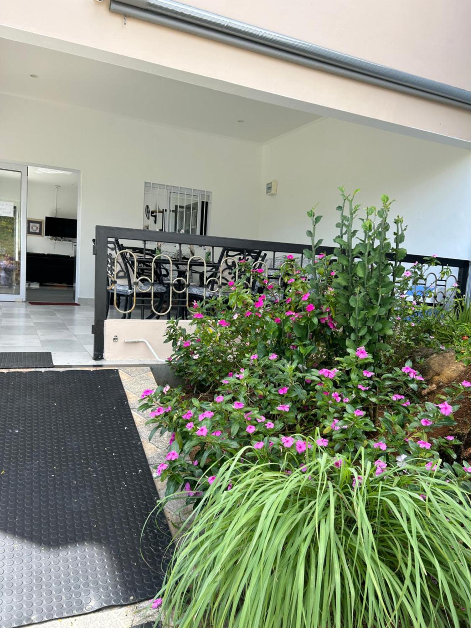 The Olive Tree Apartment Misere Exterior foto