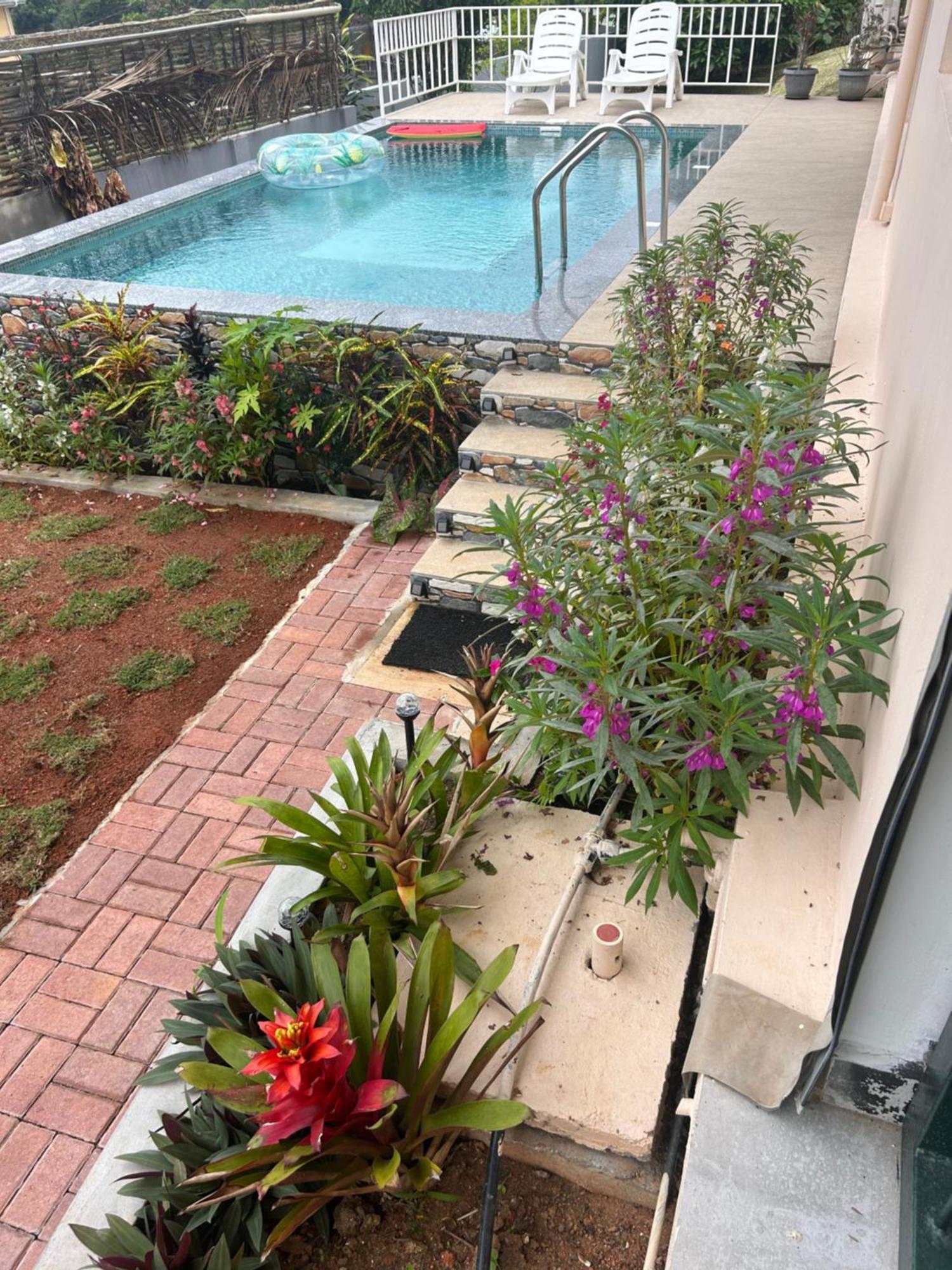 The Olive Tree Apartment Misere Exterior foto